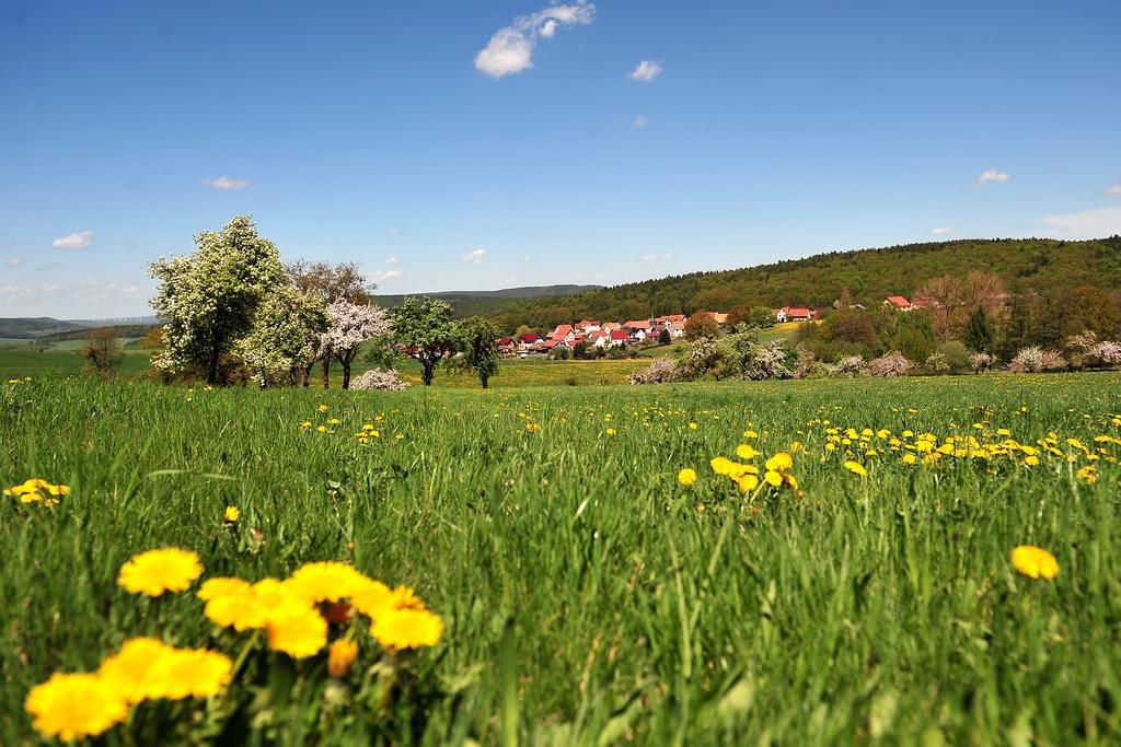 Landhotel Zur Gruenen Kutte Bernshausen Zewnętrze zdjęcie