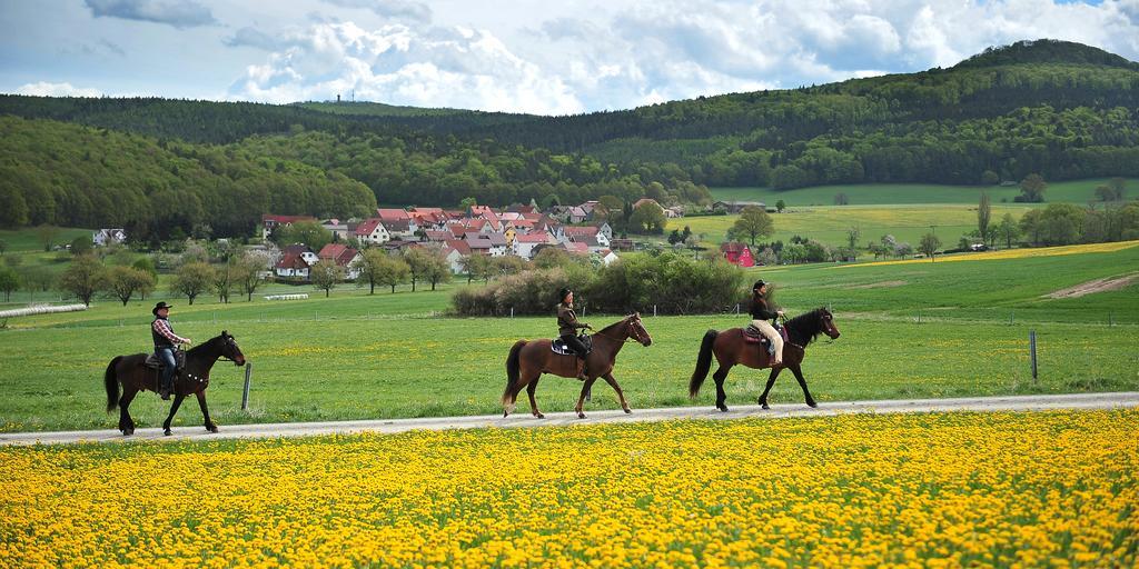 Landhotel Zur Gruenen Kutte Bernshausen Zewnętrze zdjęcie